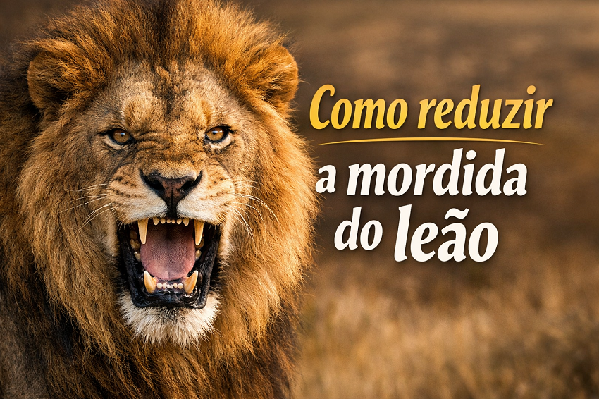 Como pagar menos Imposto de Renda Pessoa Física: entenda as deduções permitidas